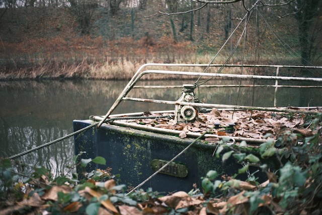 Photograph 23 by Frans Leys